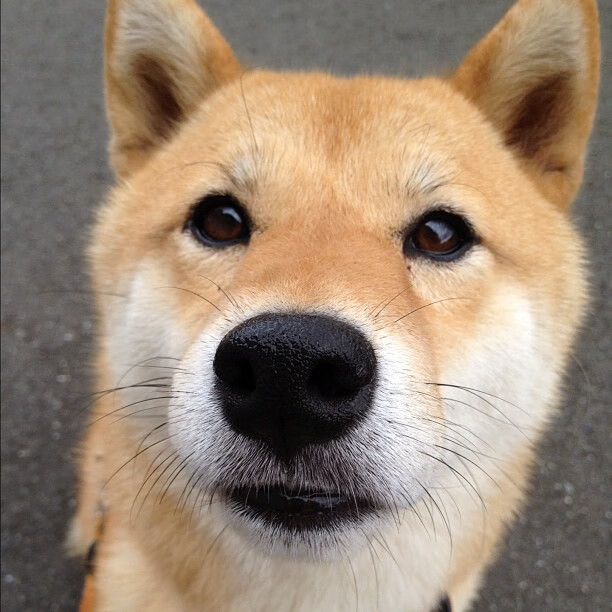 以“体育+旅游”为核心的新兴产业模式推动城市经济增长，体育旅游产业的发展