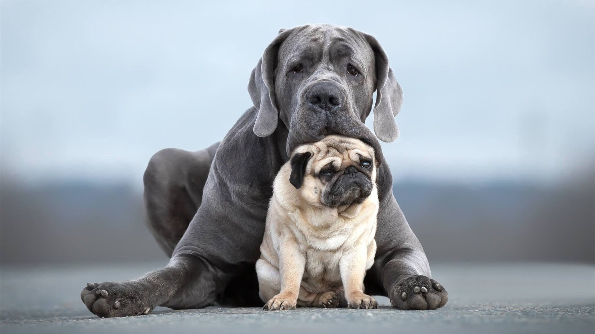 全国青少年“梦想跑”公益篮球马拉松在广州完美举行，马拉松公益活动