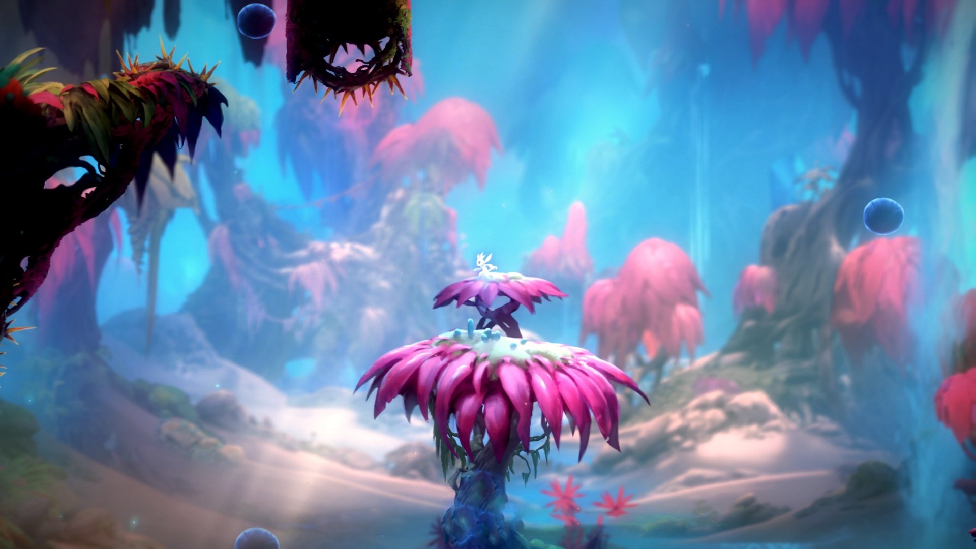 库里：用“水球”创造未来亚洲和全球篮球新格局，库里水平