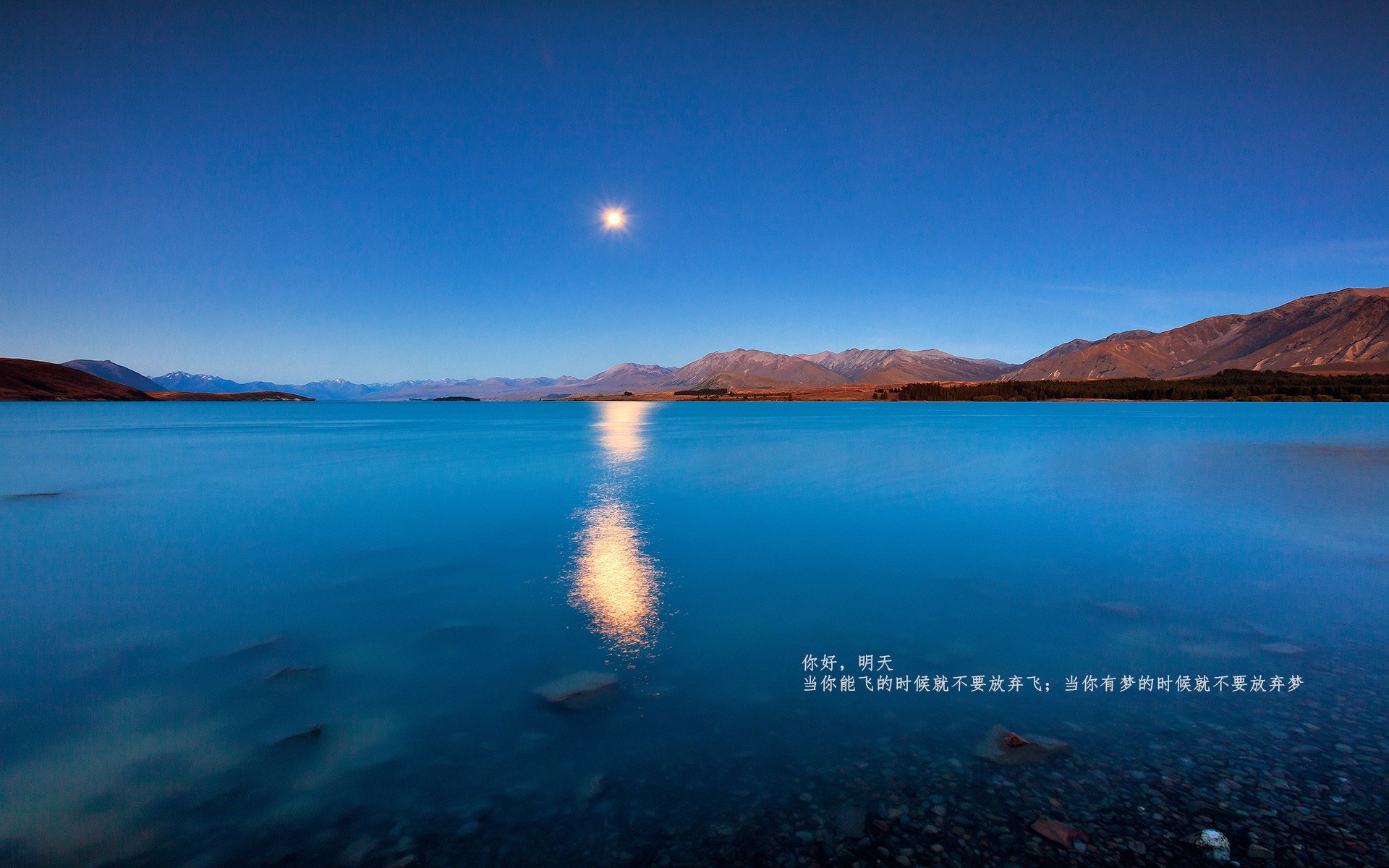 拜仁锋线新星逆天表现，带领球队持续发力，拜仁锋线新星逆天表现,带领球队持续发力