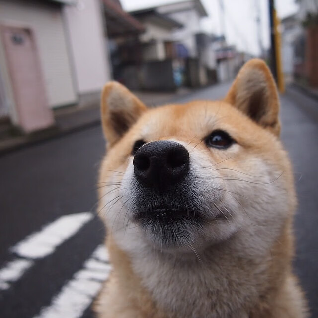 中国篮协发布最新青年培养方案,中国青年篮球协会