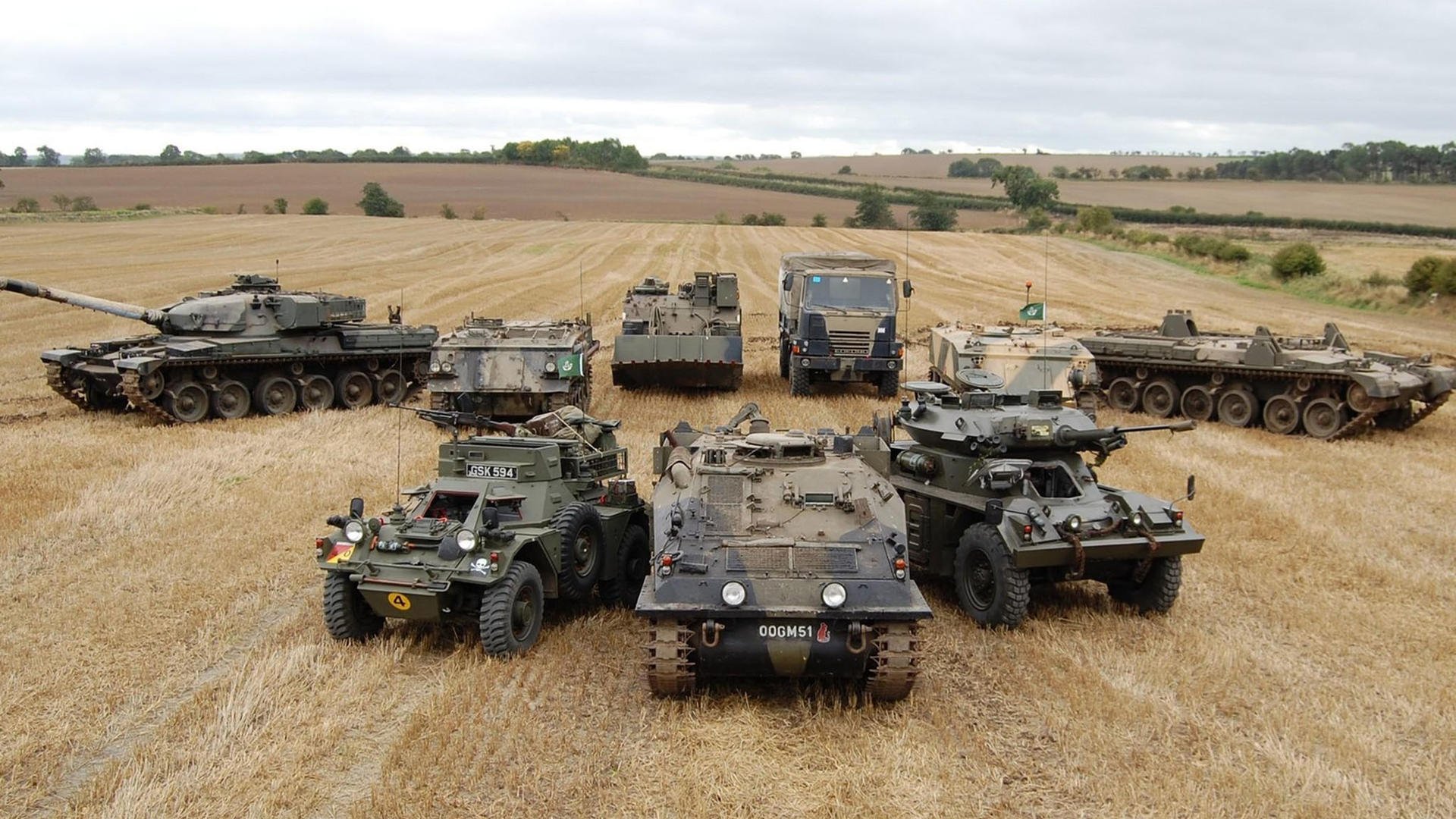 传统民俗龙舞运动会,文化与运动的完美结合,运动会舞龙表演视频