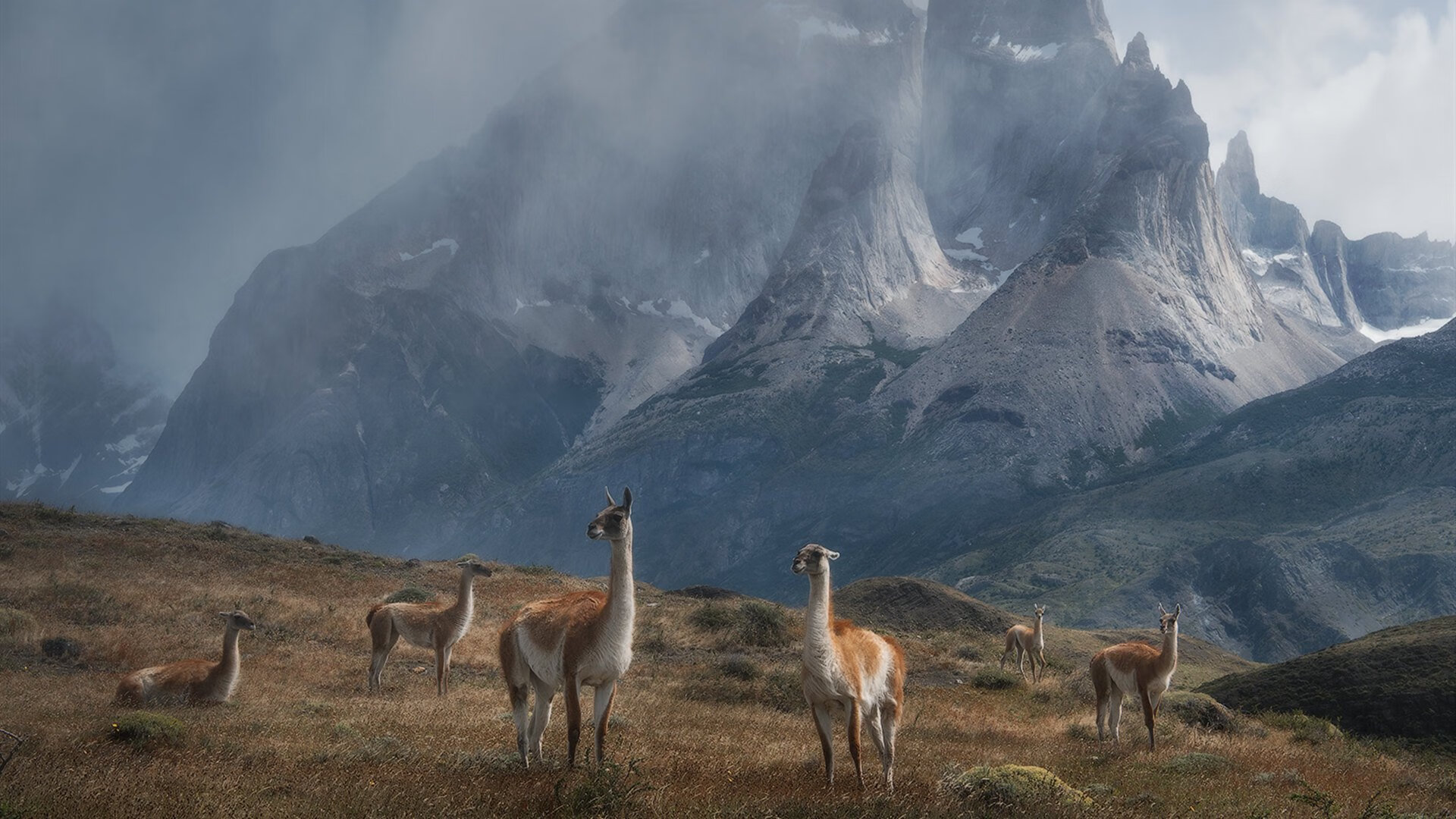 开云备用-城市夜间篮球赛吸引大量年轻群众，焕发城市青春活力，夜晚篮球场的照片真实